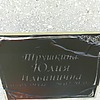 Трушкина Юлия Ильинична
