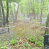 Миронова Просковья Ивановна