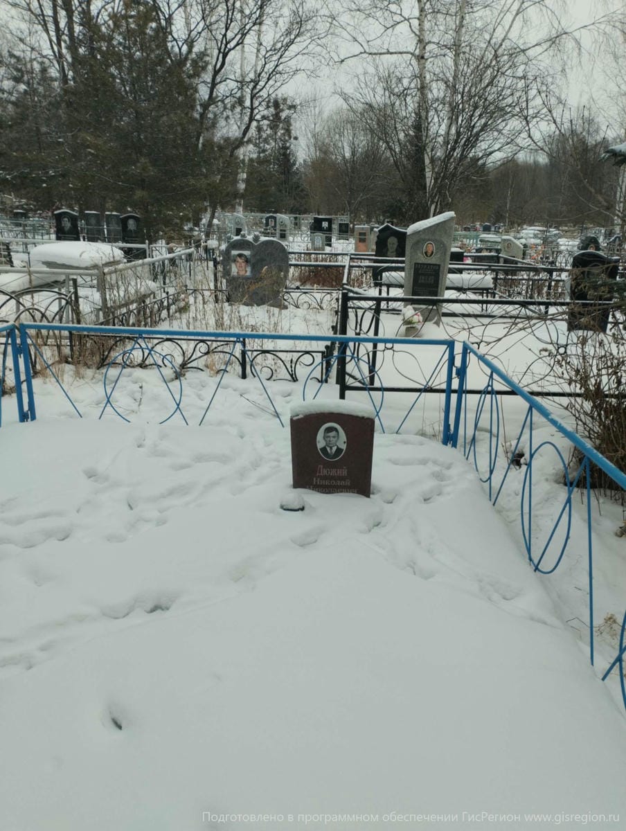 Дюжий Николай Николаевич