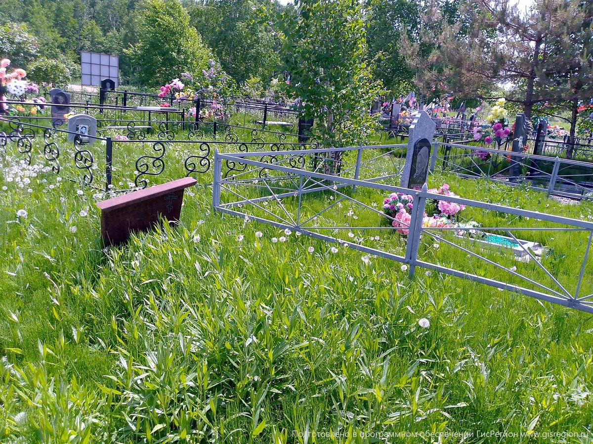 Стрикун Бенита Васильевна