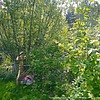 Березина Клавдия Николаевна