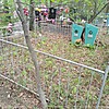 Шиваш Анатолий Георгиевич
