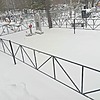 Наумова Галина Владимировна