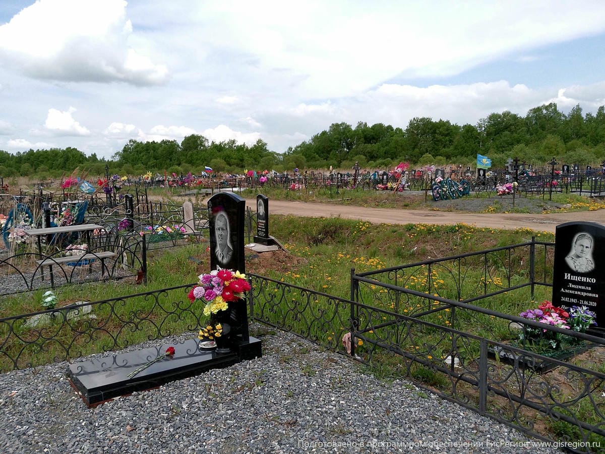 Резаев Николай Михайлович