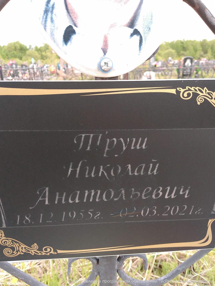 afa812ed-2276-445a-92b1-199701de7ebf Труш Николай Анатольевич