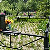 Прохоровский Виктор Сергеевич