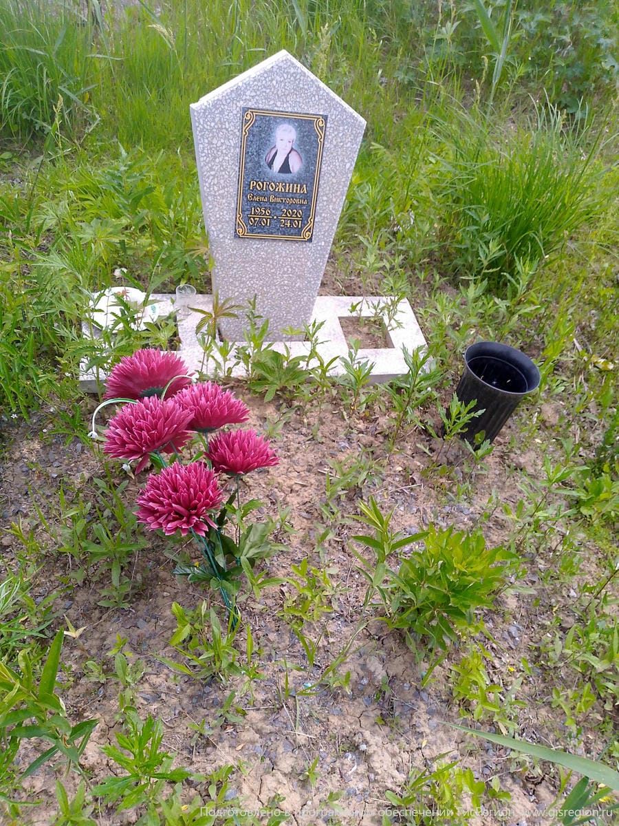 Рогожина Елена Викторовна