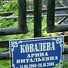 Ковалева Арина Витальевна