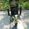 Ёвкина Татьяна Александровна