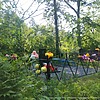 Рыбакова Наталья Александровна