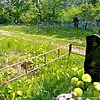 Петросюк Мария Михайловна