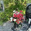 Елагов Александр Александрович