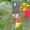 Смолина Анна Петровна