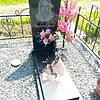 Безшейко Петр Петрович