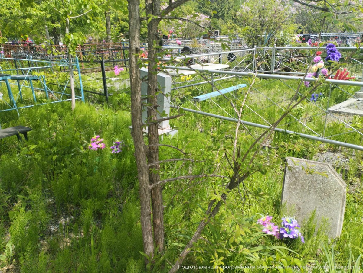 bb0b163c-27f1-410d-92c7-6a9b24fce178 Неизвестно Неизвестно Неизвестно