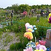 Шпаковский Григорий Николаевич
