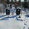 Новикович Анатолий Владимирович