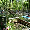 Горич Анастасия Петровна
