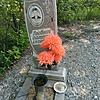 Терентьева Лидия Федоровна