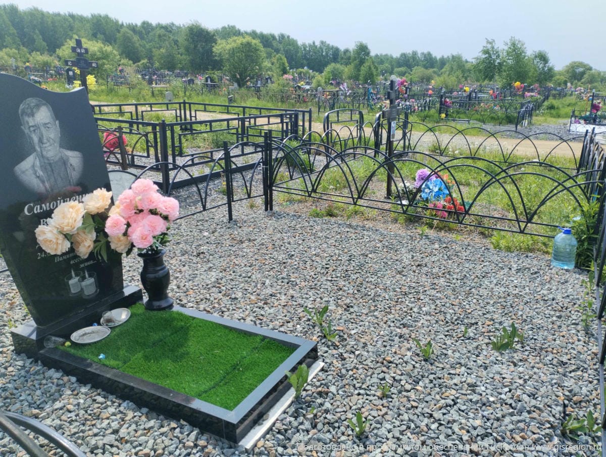 bdcd2c48-0bcc-42ab-b699-843d8795341c Самойленко Владимир Дмитриевич
