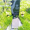 Шишкин Павел Дмитриевич