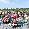 Мартынова Кристина Николаевна