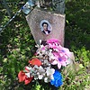 Свищев Александр Васильевич