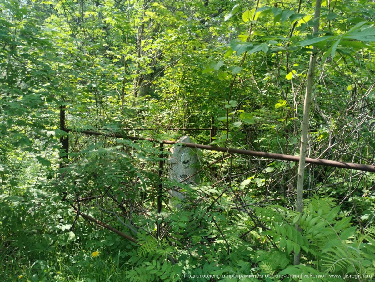 c6892e5f-cf29-4f06-a00d-b08636ed8ff8 Янова Вера Тихоновна
