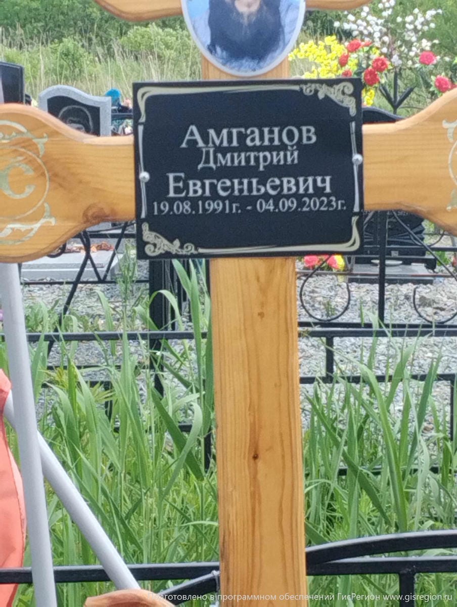 cb0f4a37-5b90-4ddc-b2cd-35ba950c1628 Амганов Дмитрий Евгеньевич