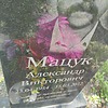 Мацук Александр Викторович