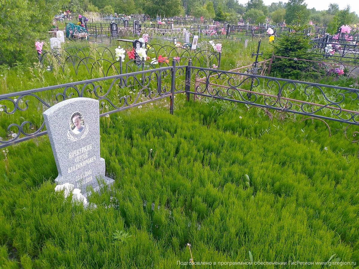 d841887c-cddb-48a2-8c99-e4d208d04440 Кочкурскин Сергей Владимирович