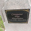 Спицына Вера Николаевна