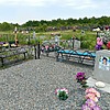 Поликарпова Надежда Петровна