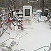 e79d481b-bb7d-4a82-8001-669912d7d155 Сазонов Вадим Алексеевич