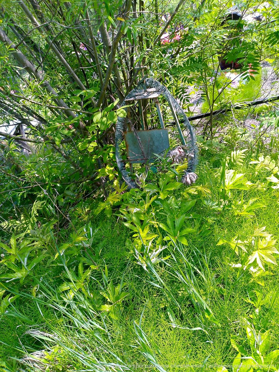 ea508b39-d770-4a57-9148-3a510d4391bc Неизвестно Неизвестно Неизвестно