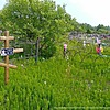 Кайнок Анатолий Николаевич