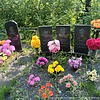 Сысоенко Елена Александровна
