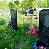 Шпак Максим Сергеевич