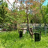 Воробьев Алексей Георгиевич