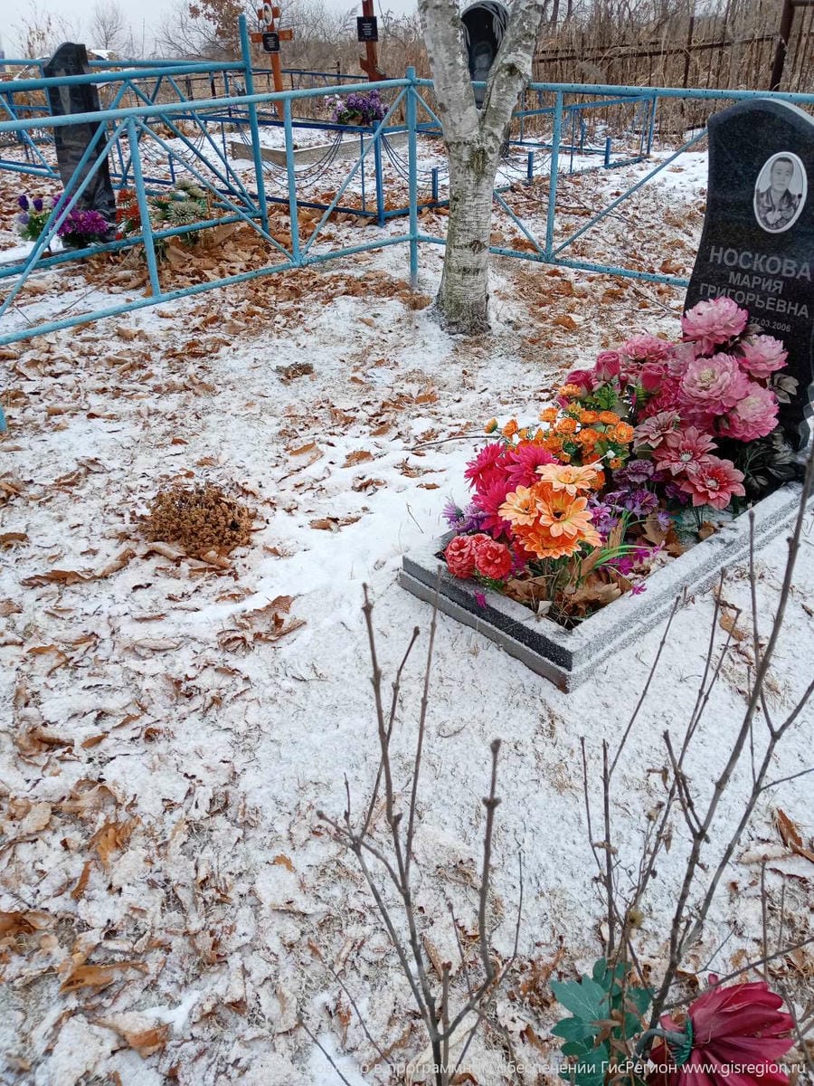 06ada433-ee3e-4491-8bb3-d068a7afee8c Носкова Мария Григорьевна