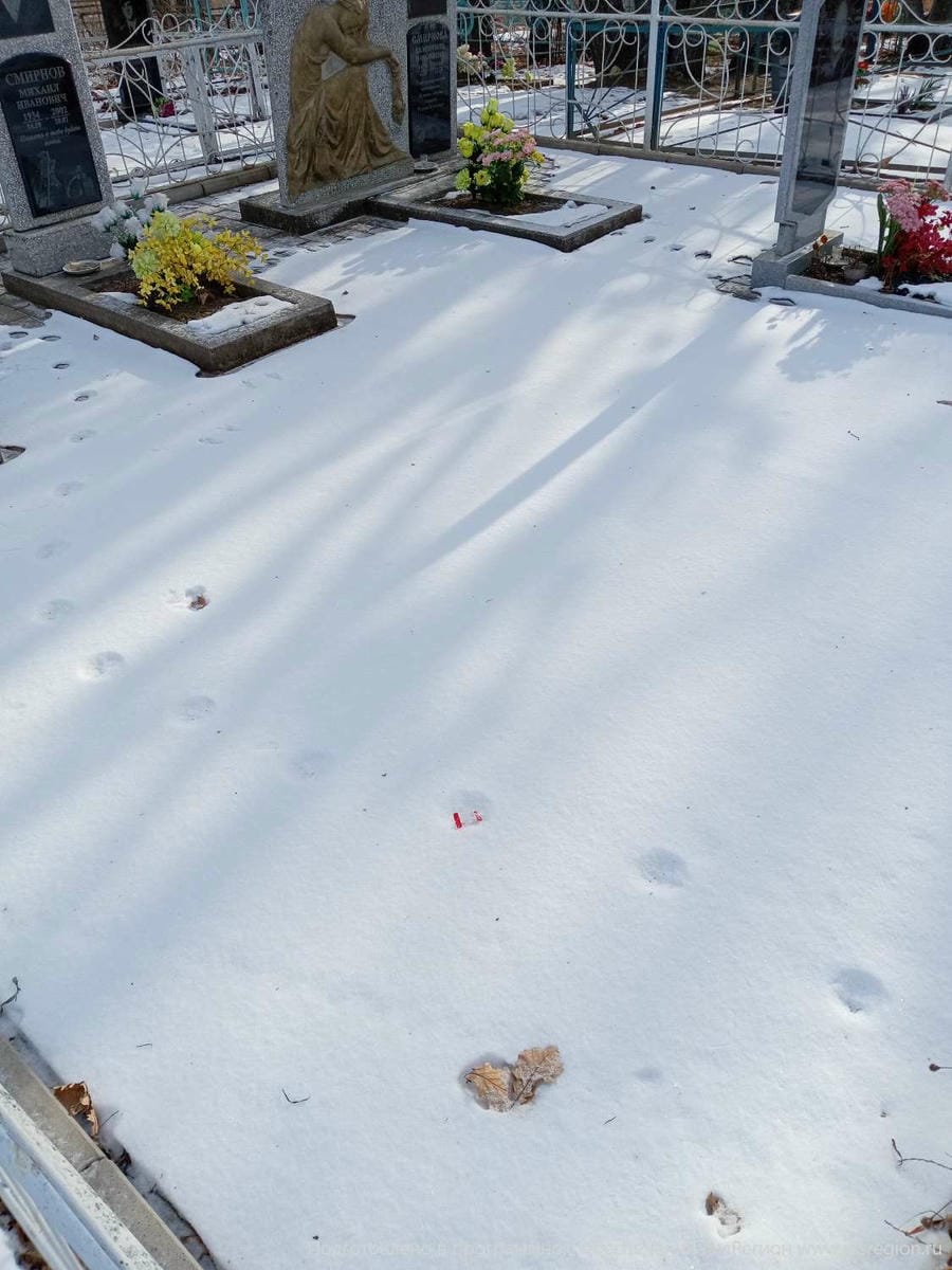 Шлапак Сергей Михайлович