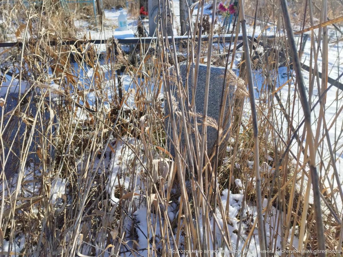 0f022cfc-3da5-4552-93c4-a4ad47550c37 Коголевич Андрей Кузьмич