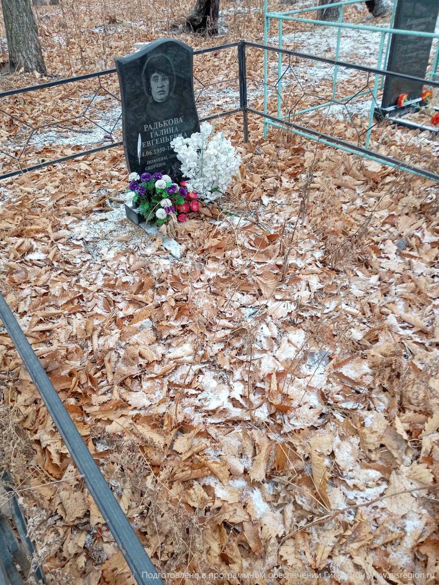 0fef765a-c17a-4bcb-ad31-dcd689617aa4 Радькова Галина Евгеньевна