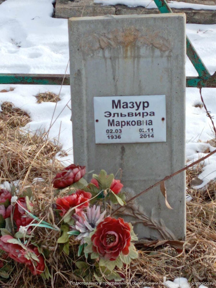 136c2dc8-eb80-4a4a-9c18-b24e28f53f98 Мазур Эльвира Марковна