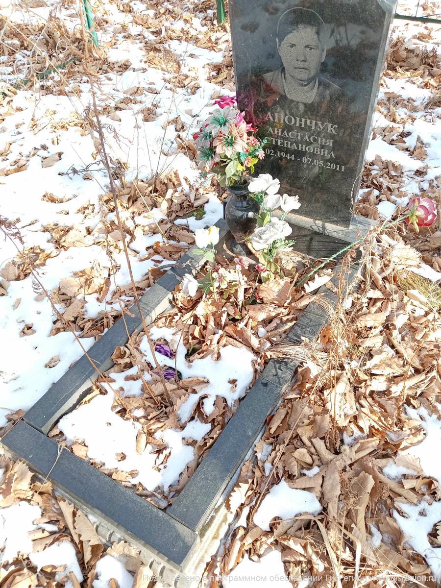 1692a697-13b7-474b-bde7-a16308a0dd10 Апончук Анастасия Степановна