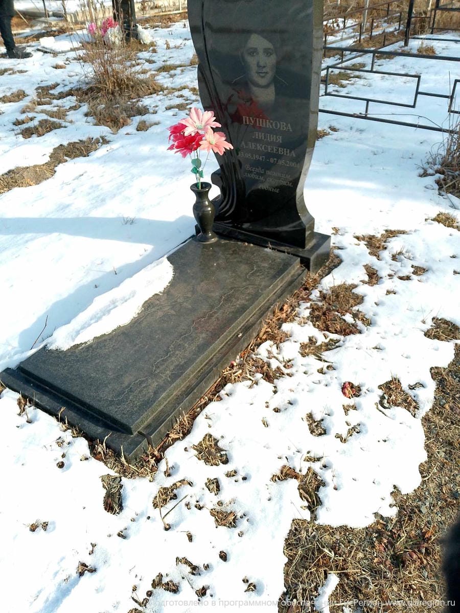 17dd2dc8-b6b7-46b0-9e86-ccaddb2430c8 Пушкова Лидия Алексеевна