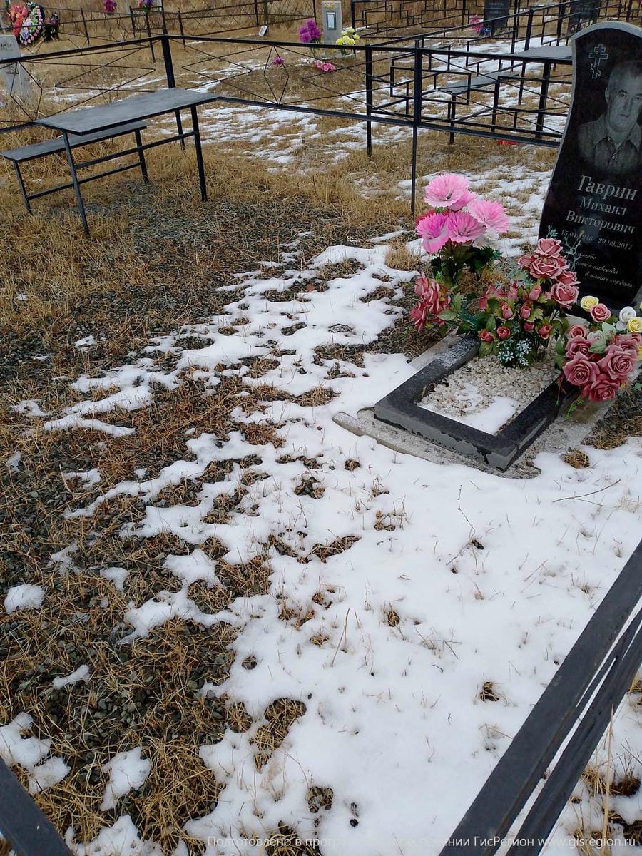 Гаврин Михаил Викторович