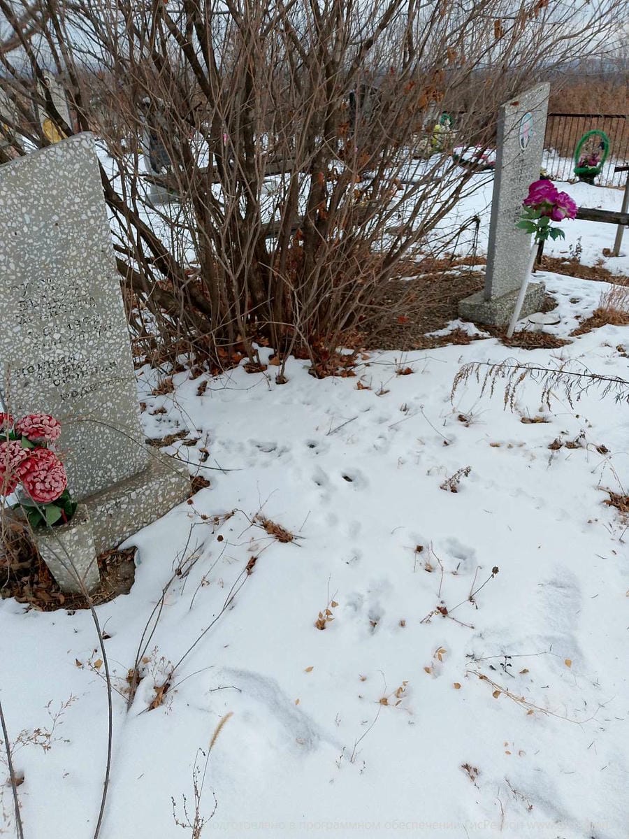 Неизвестно Неизвестно Ивановна