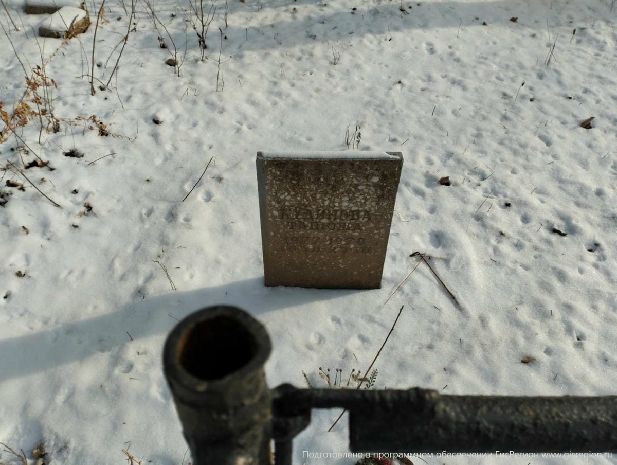 204dbfcb-795d-42cc-8ce5-3264df054a96 Кудинова Танюша Неизвестно