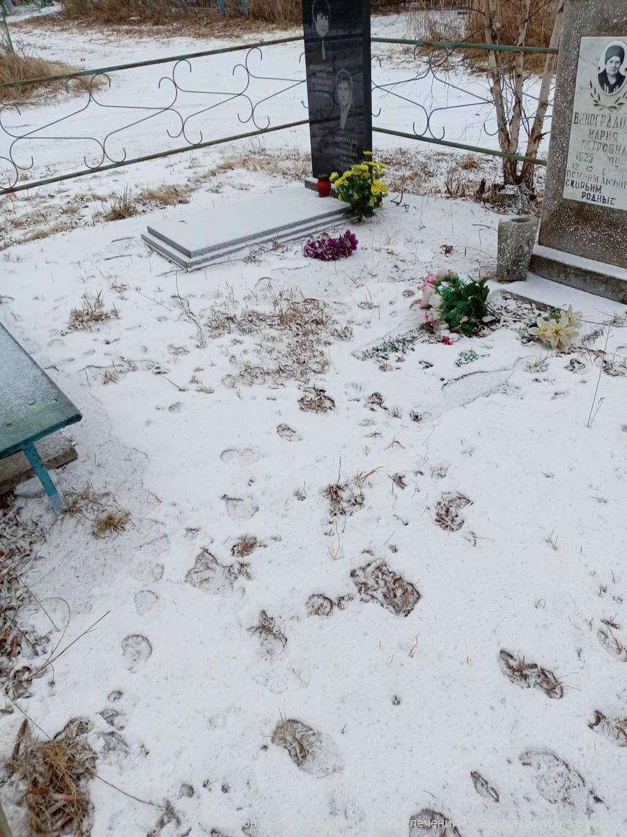 2547e985-f32b-483a-b3ff-c779bbeeab33 Виноградов Юрий Евгеньевич